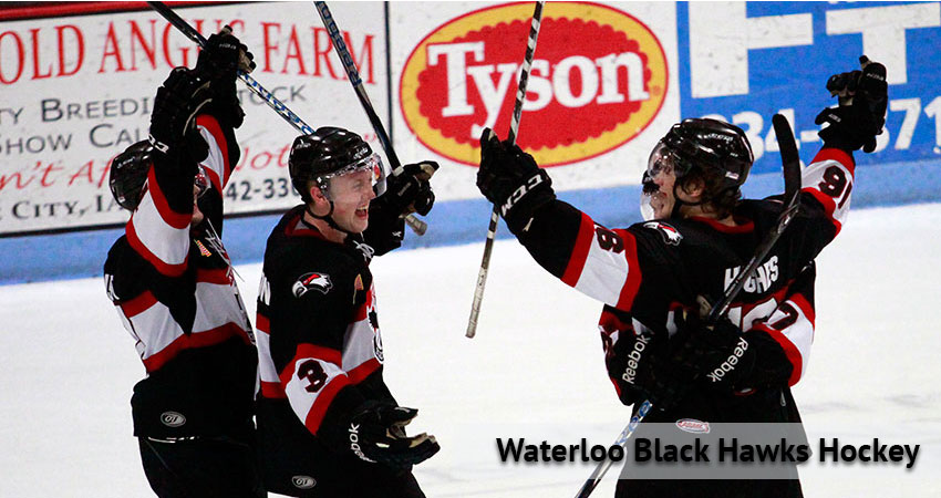 Waterloo Black Hawks Hockey