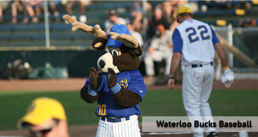 Waterloo Bucks Baseball