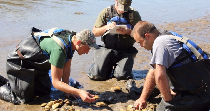 mussel relocation