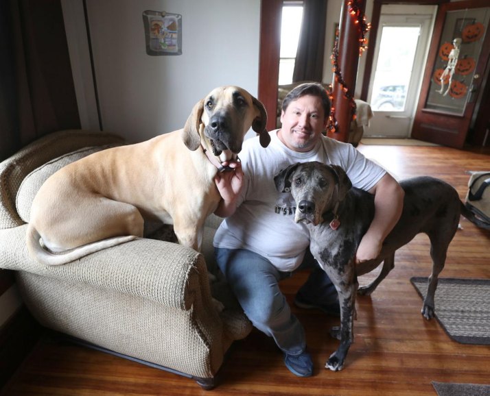 Man seated with two large dogs